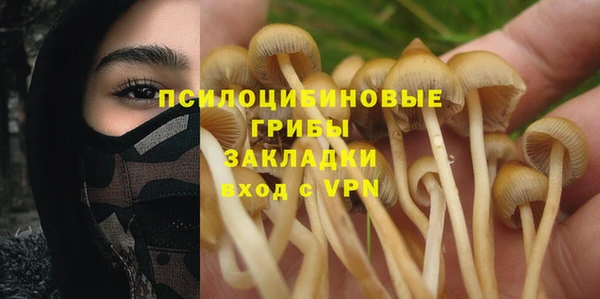 дмт Вяземский