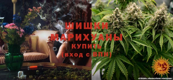 дмт Вяземский