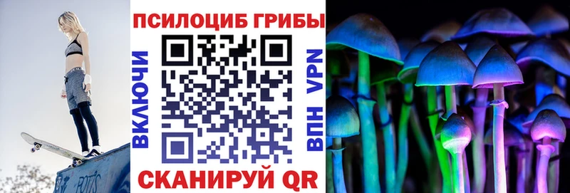 Купить где  Зима  Галлюциногенные грибы Psilocybe 